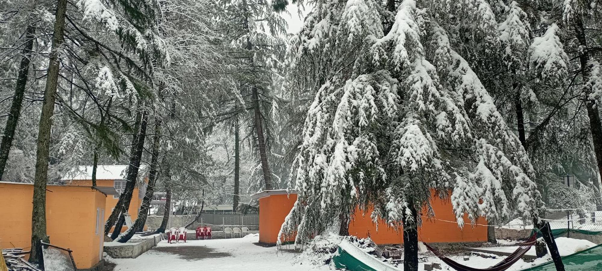 Pandora Riverside Cafe & Stay Kasol Luaran gambar