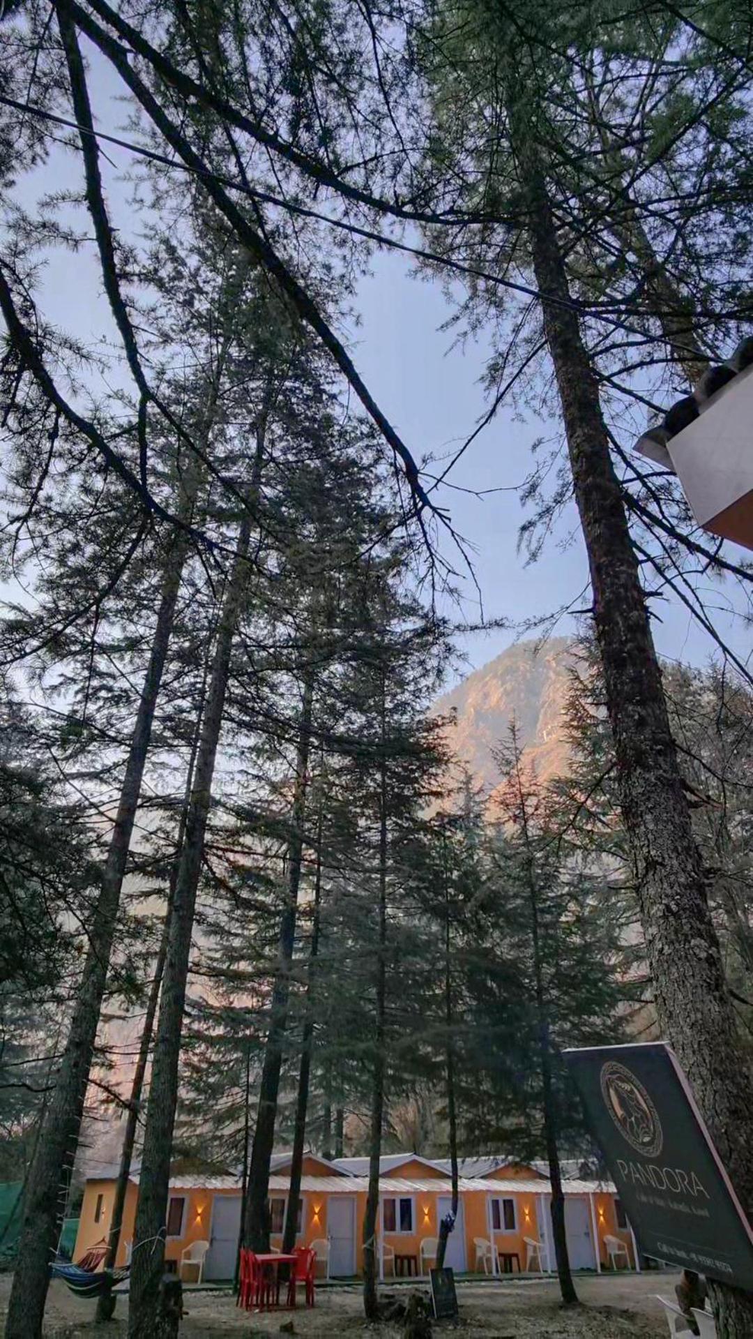 Pandora Riverside Cafe & Stay Kasol Luaran gambar